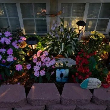 In Loving Memory of Michael Dais, Jr.